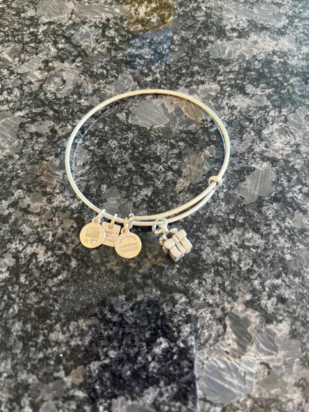 Alex and Ani Silver Charm Bangle Bracelet with Gift Charm